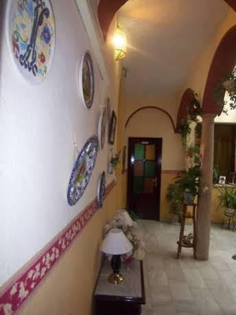 Javier Guest house